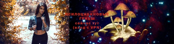 дживик Пересвет