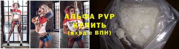 дживик Пересвет