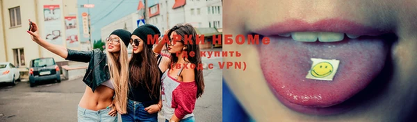 дживик Пересвет