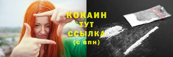 дживик Пересвет