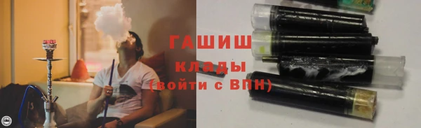 дживик Пересвет