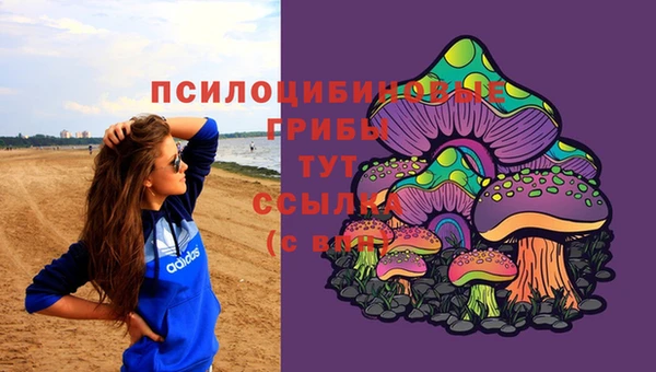 хмурый Переславль-Залесский