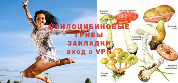 мет Заводоуковск