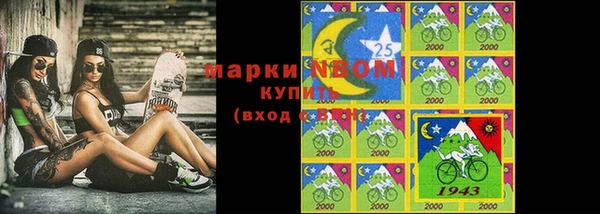 дживик Пересвет
