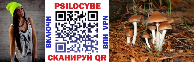 Галлюциногенные грибы Psilocybine cubensis Снежинск