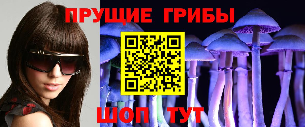 Галлюциногенные грибы Magic Shrooms  Псилоцибиновые грибы MAGIC MUSHROOMS  Снежинск  Вход с VPN 
